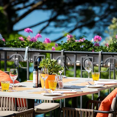 费尔蒙特莱蒙特勒宫酒店 蒙特勒